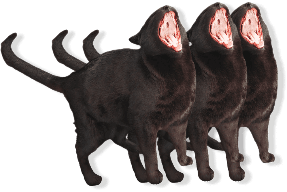 Community of cats